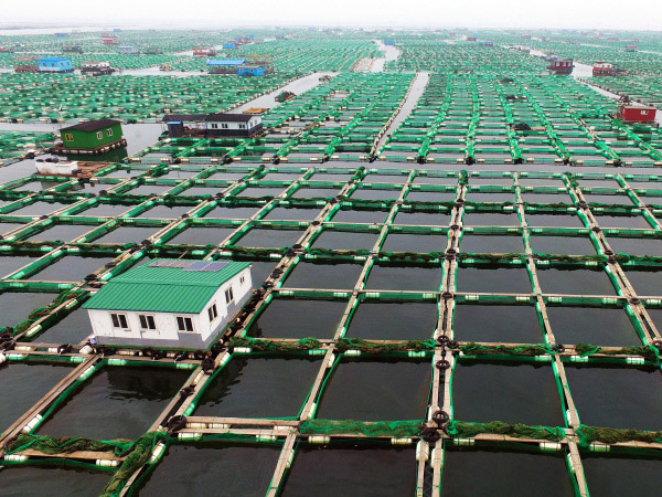 畜牧養殖應用成功案例